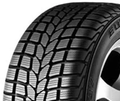 Falken EUROWINTER HS437