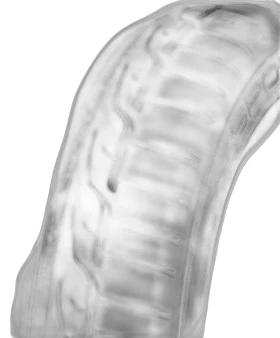 Dunlop SP Sport Maxx RT