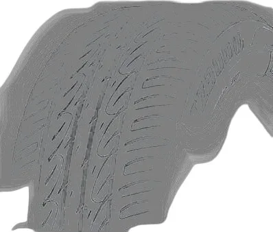 Firestone TZ300a
