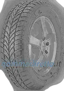 Maxxis WP-05 Arctictrekker
