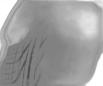 Pirelli P6000